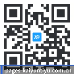 苹果版 iOS 二维码